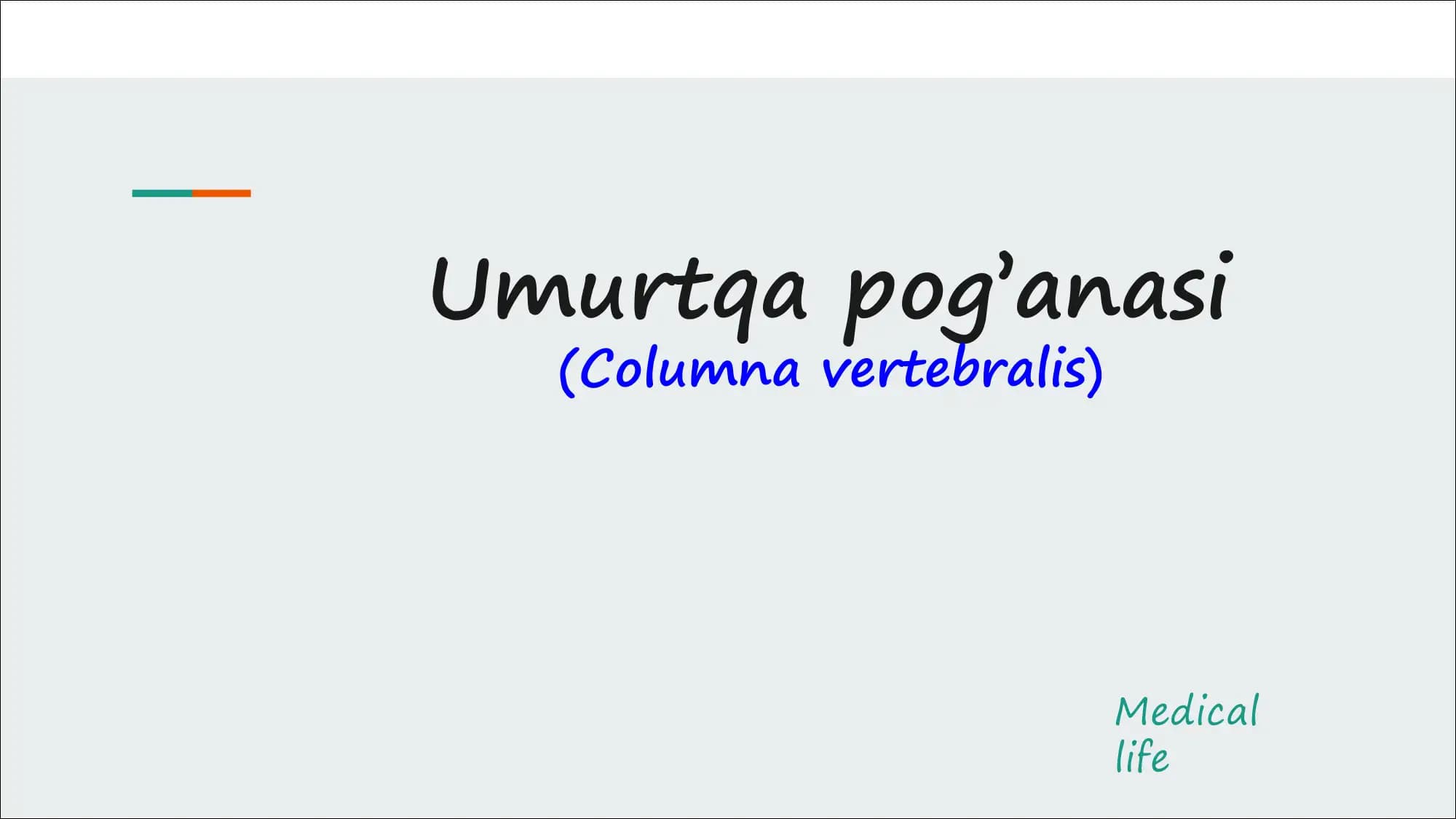 Umurtqa pog’anasi