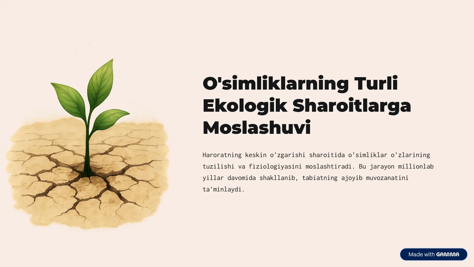 O'simliklarning Turli Ekologik Sharoitlarga Moslashuvi