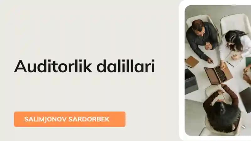 Auditorlik dalillari