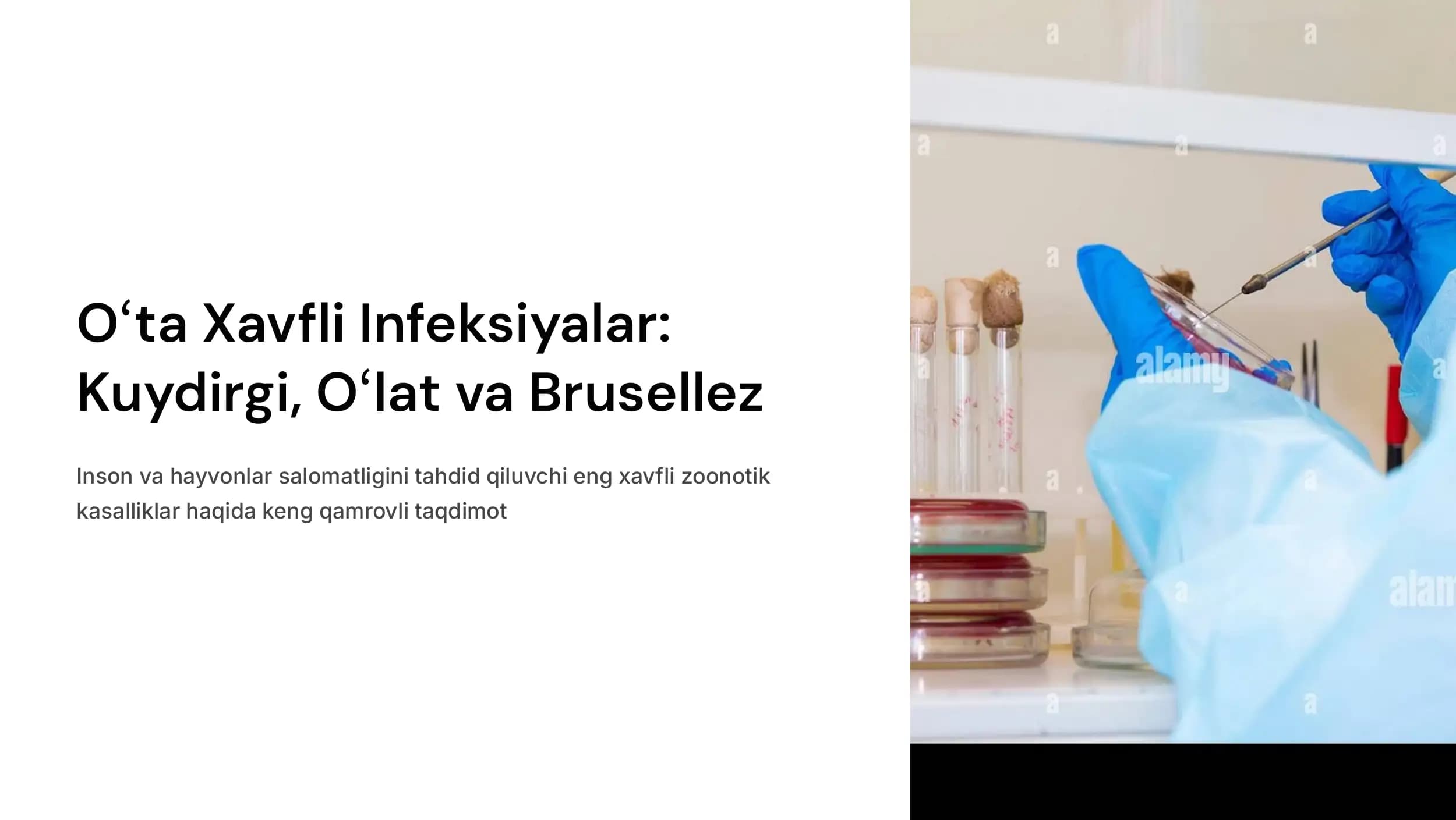 Oʻta xavfli infeksiyalar  (kuydirgi, oʻlat,  brusellez)..