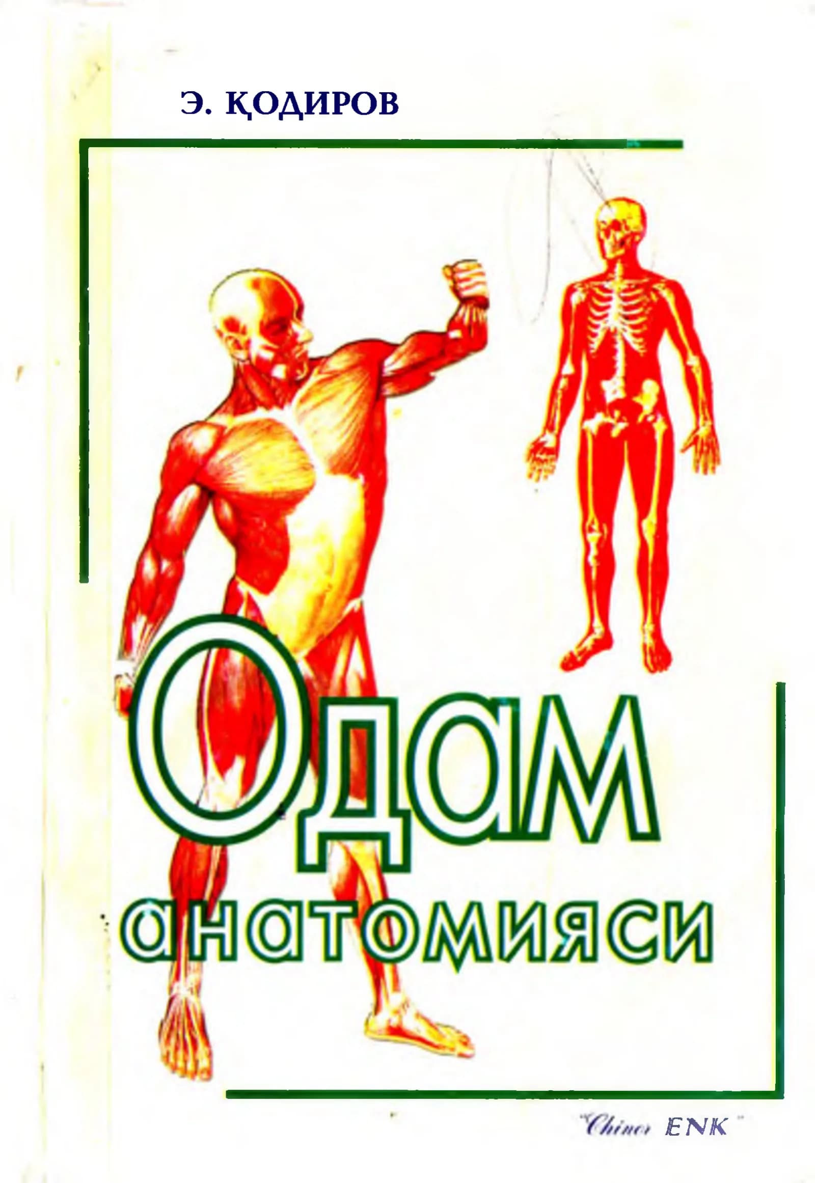 ОДАМ АНАТОМИЯСИ