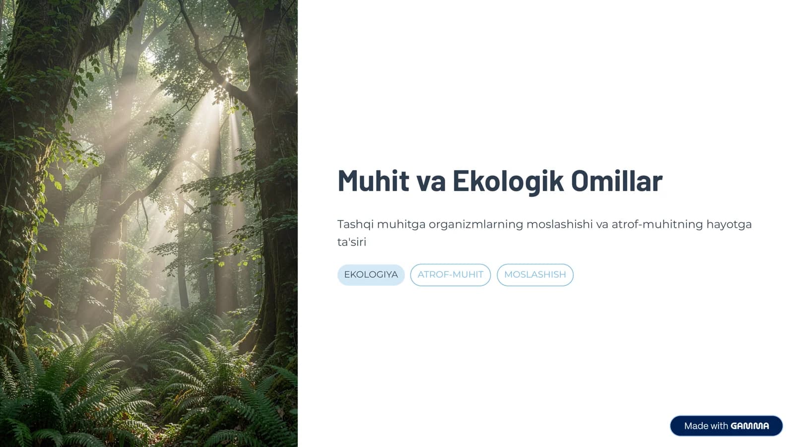 Muhit va Ekologik Omillar