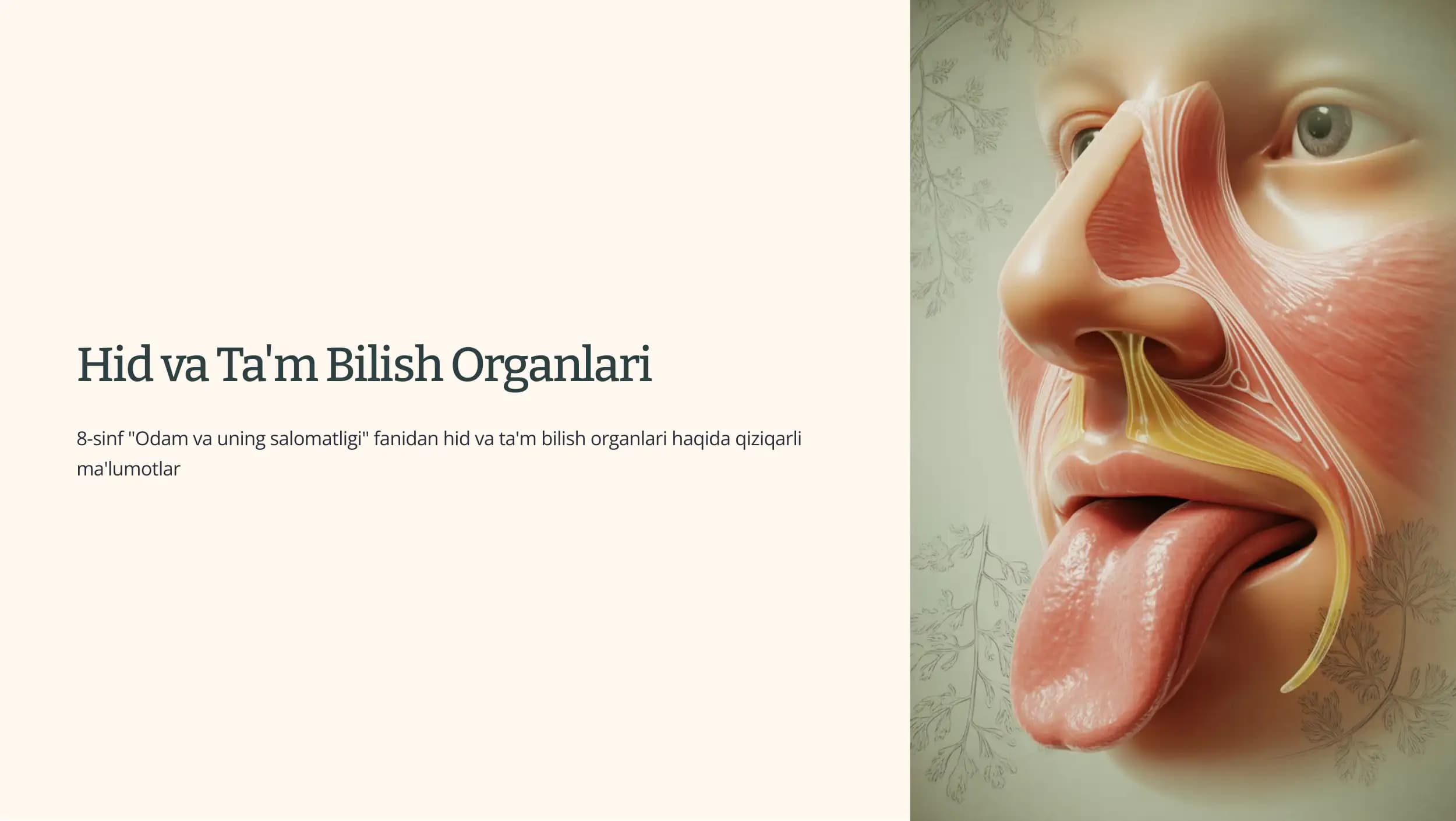 Hid va Ta'm Bilish Organlari