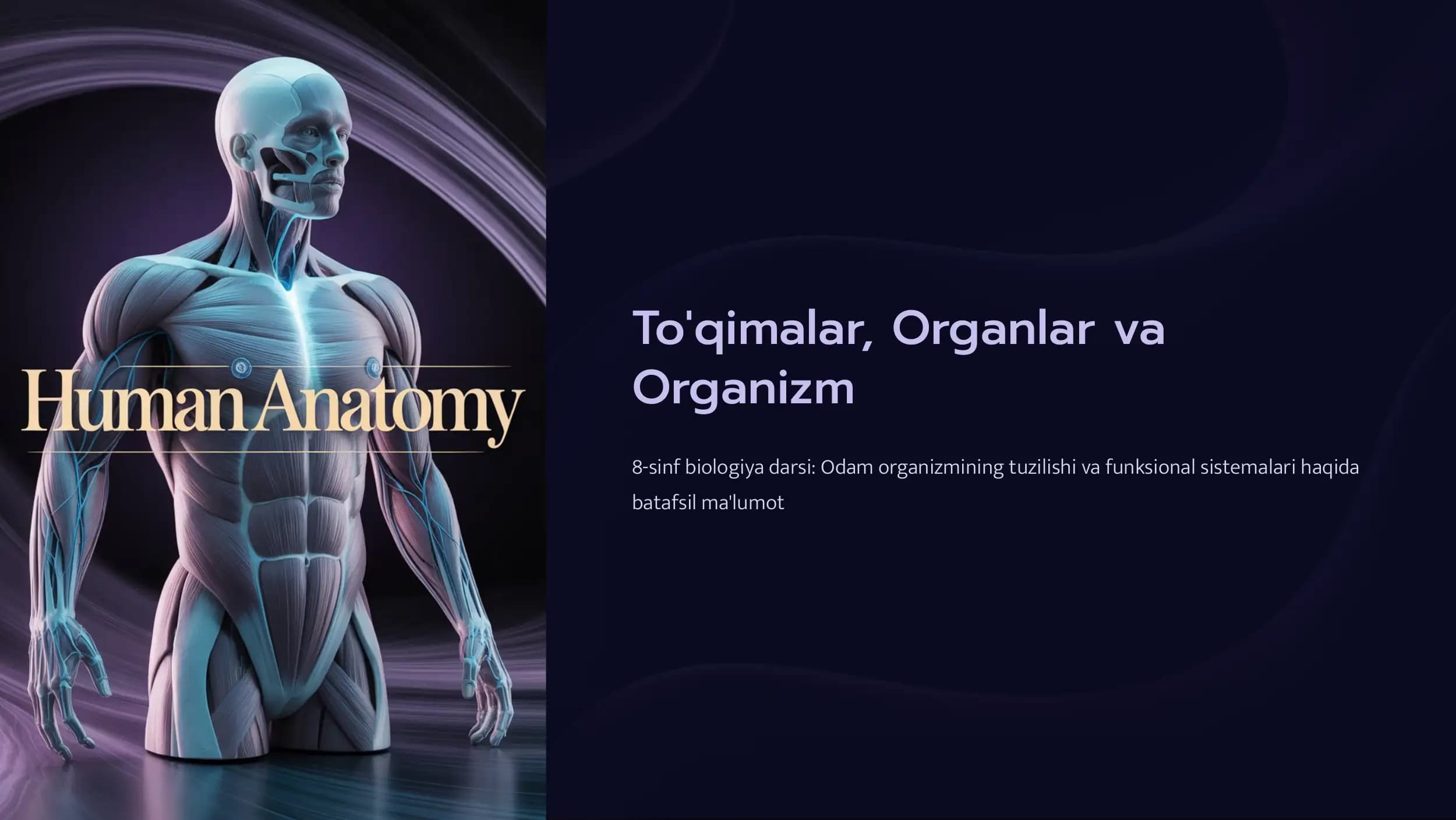 To'qimalar, Organlar va Organizm
