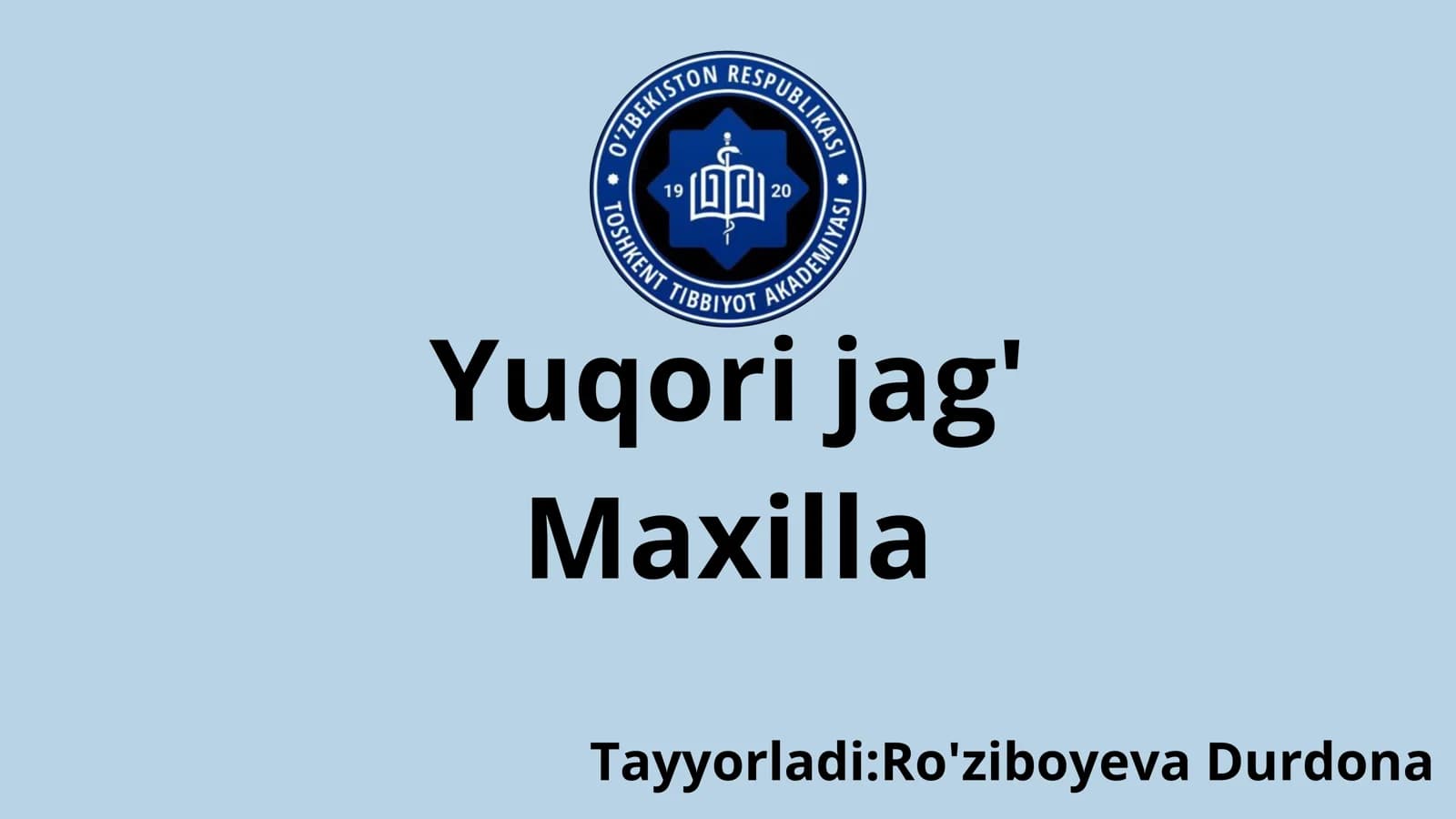 Yuqori jag‘. Maxilla