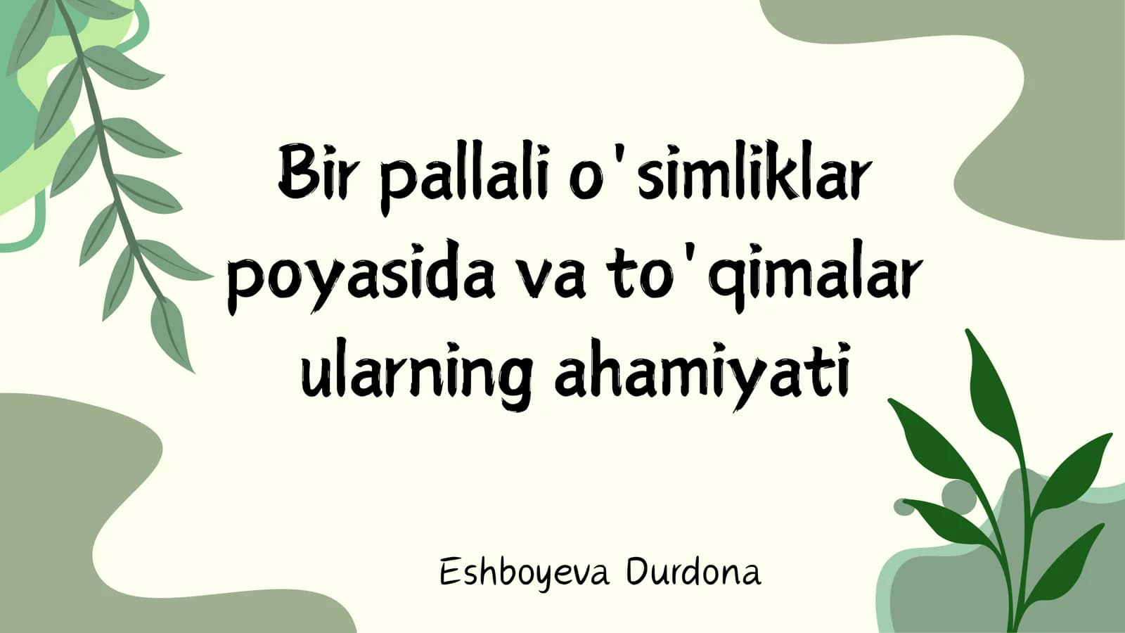 Bir pallali o'simliklar