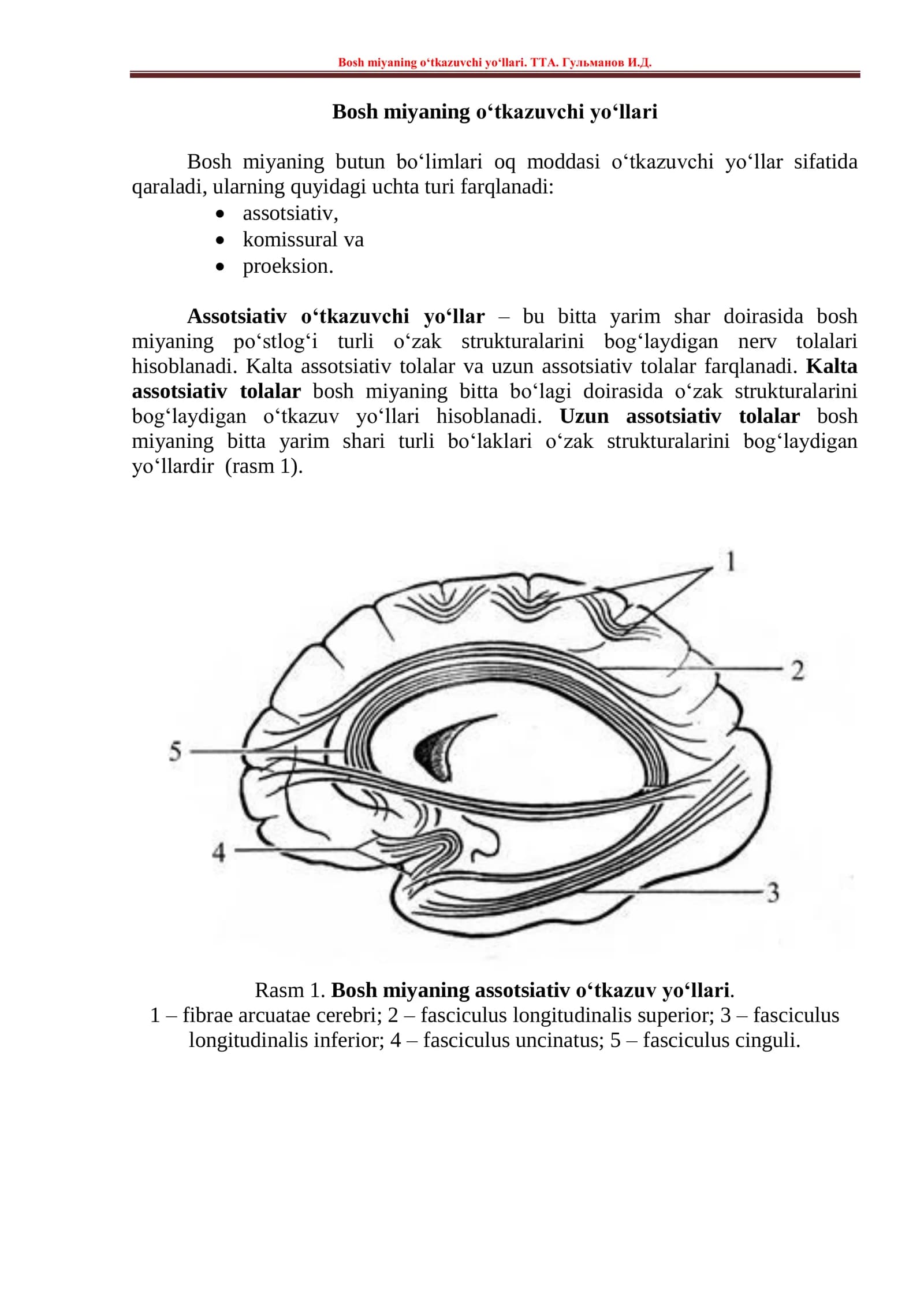 Bosh miyaning o‘tkazuvchi