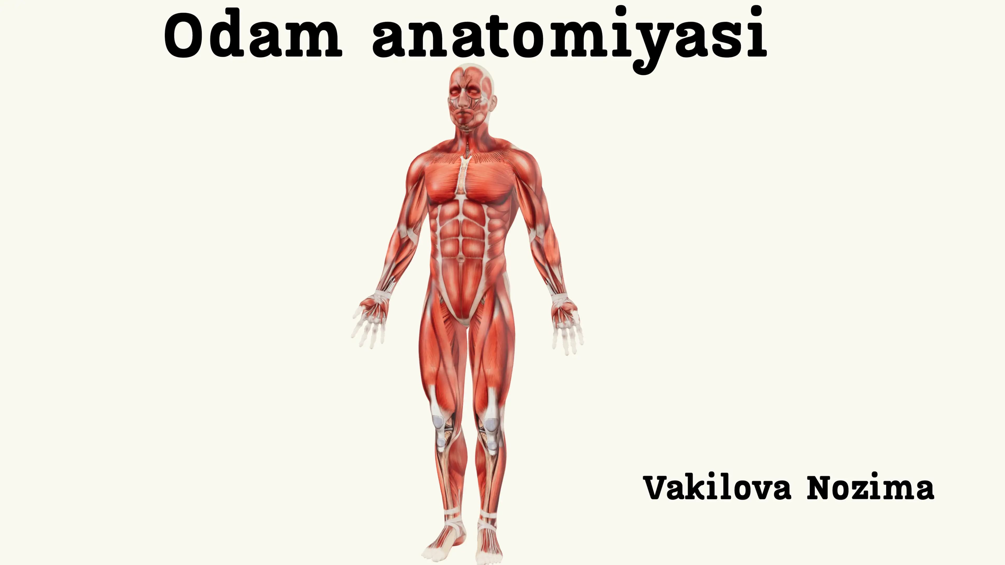 Mushaklarning ishi biomexanikasi