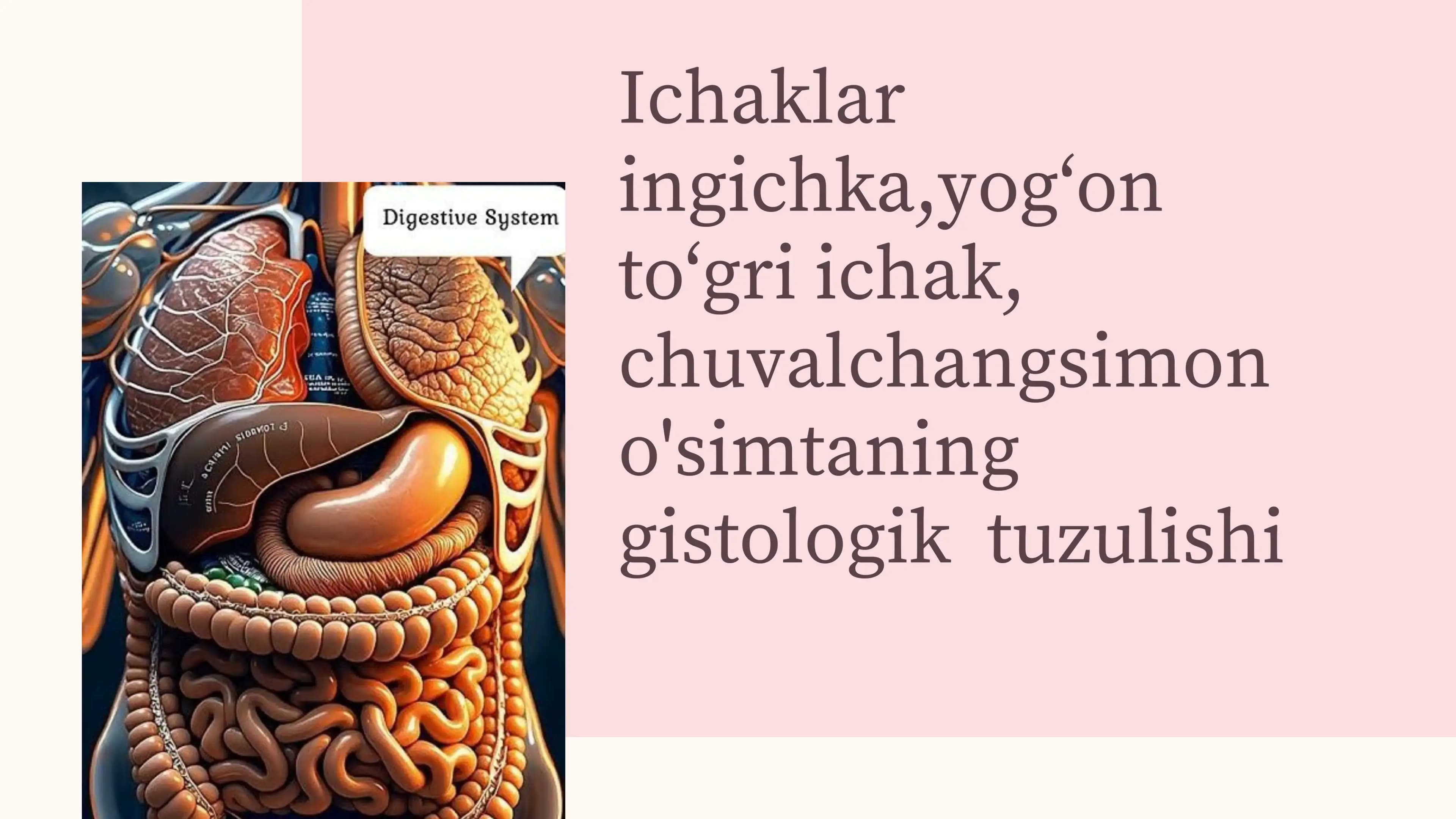 Reja: 1. INGICHKA ICHAK GISTOLOGIYASI