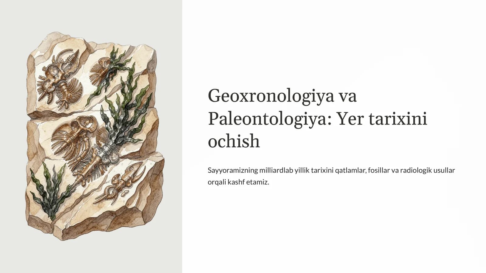 Geoxronologiya va Paleontologiya