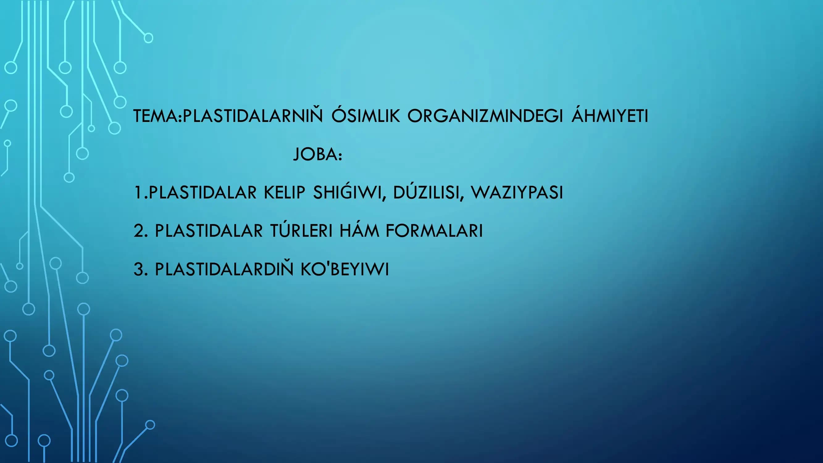 PLASTIDALAR