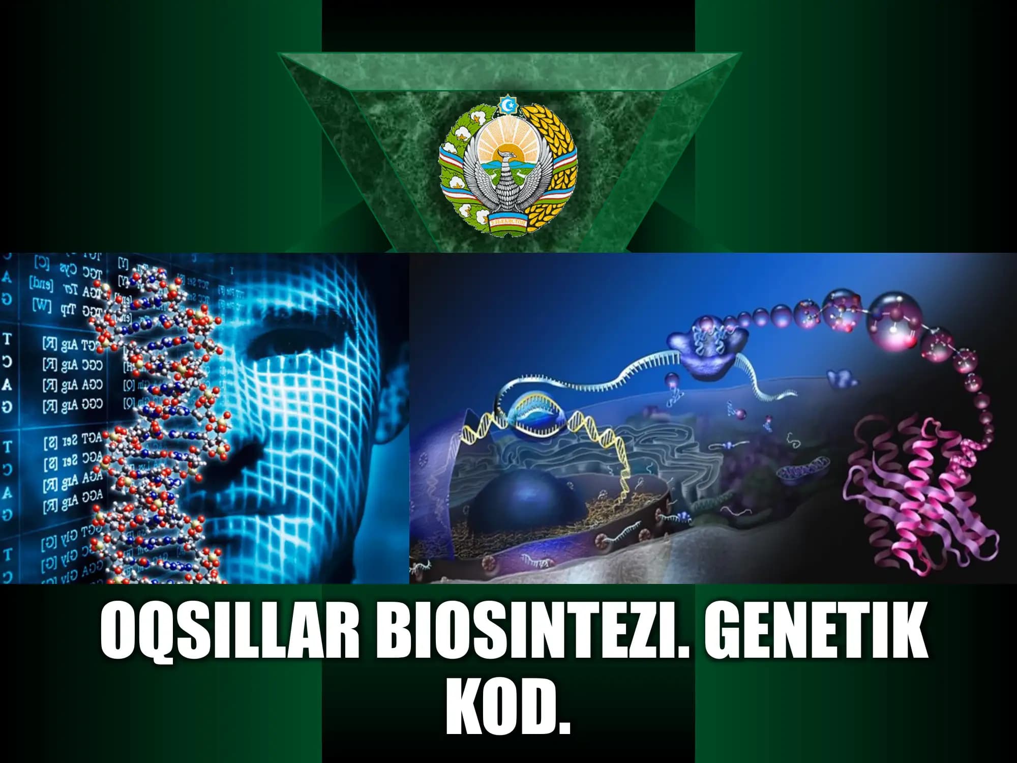 Oqsillar biosintezi. Genetik kod