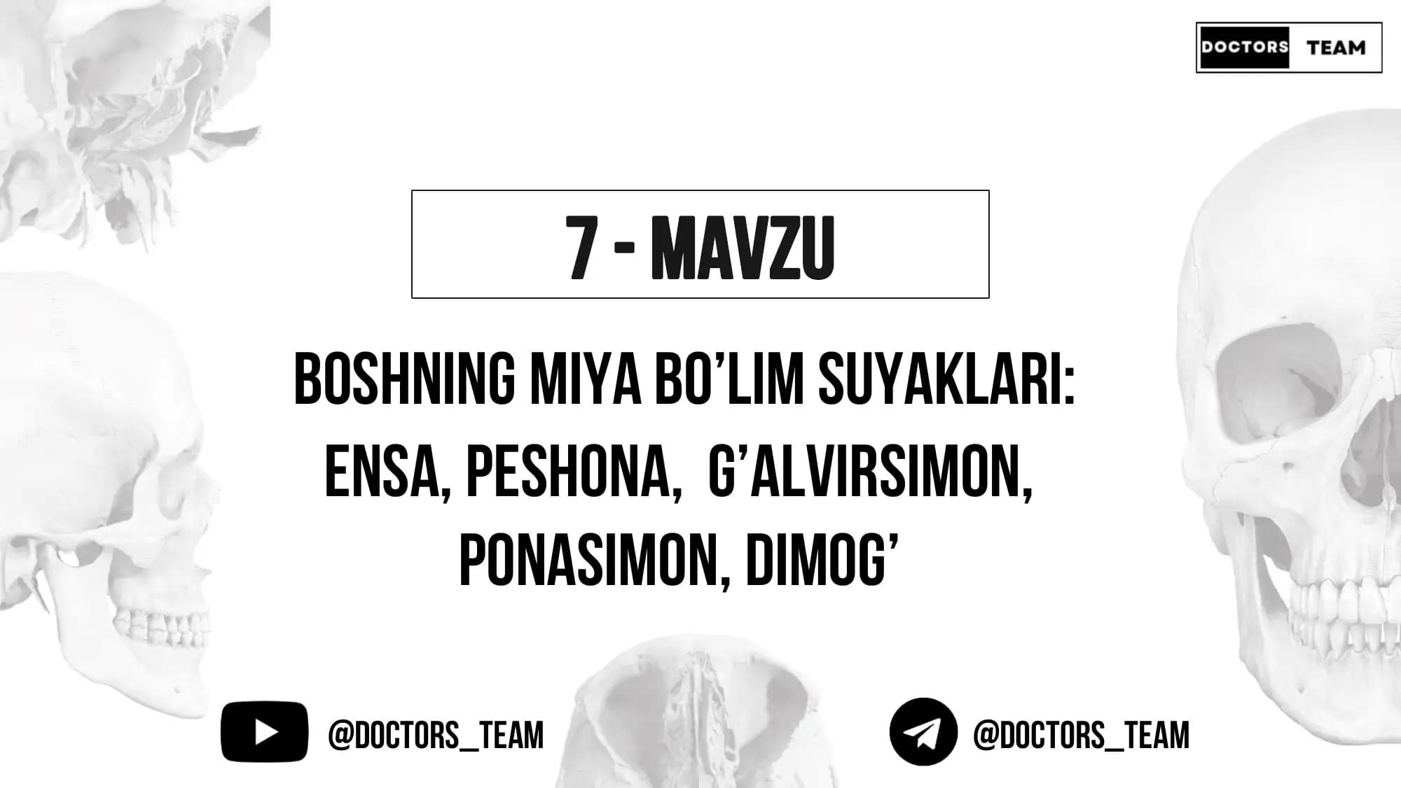 Boshning miya bo’lim suyaklari