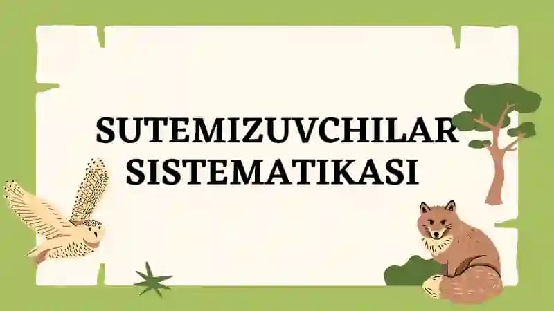 Sutemizuvchilar sistematikasi