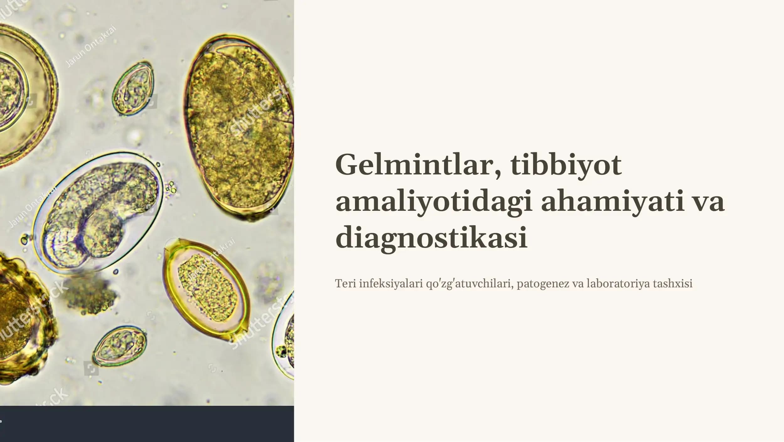 Gelmintlar, tibbiyot amaliyotidagi ahamiyati va  diagnostikasi. Teri infektsiyalari qo'zg'atuvchilari,  patogenez, laboratoriya tashxisi.
