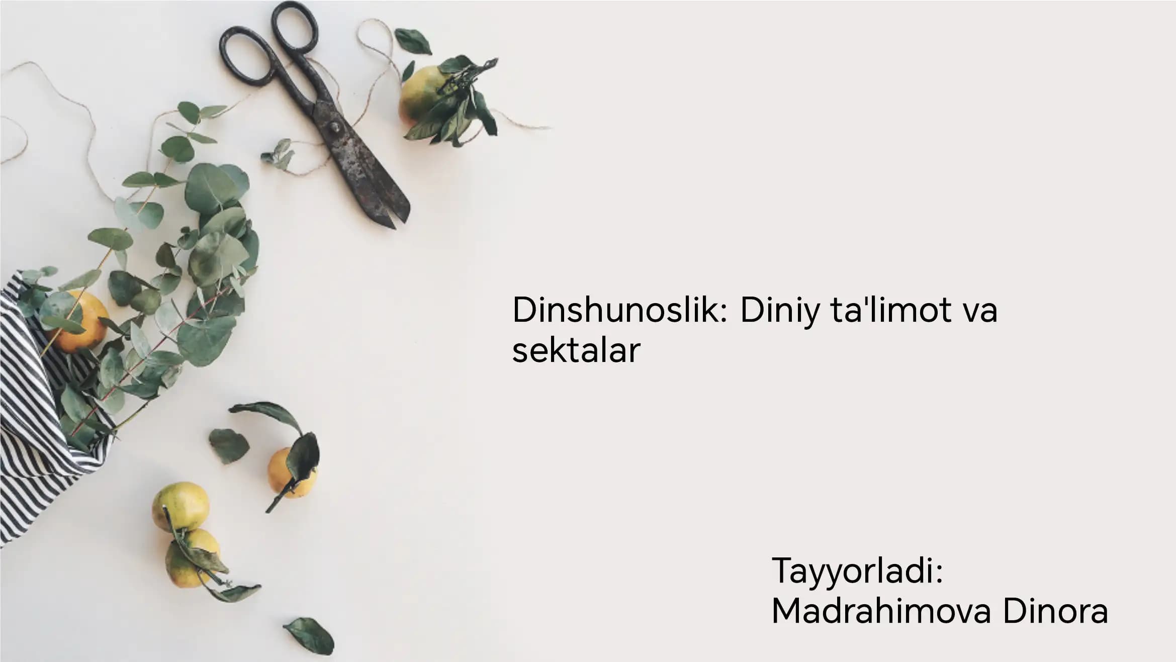 Diniy Sekta va Dinshunoslik