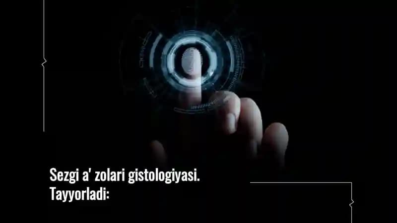 Sezgi a'zolari gistologiyasi