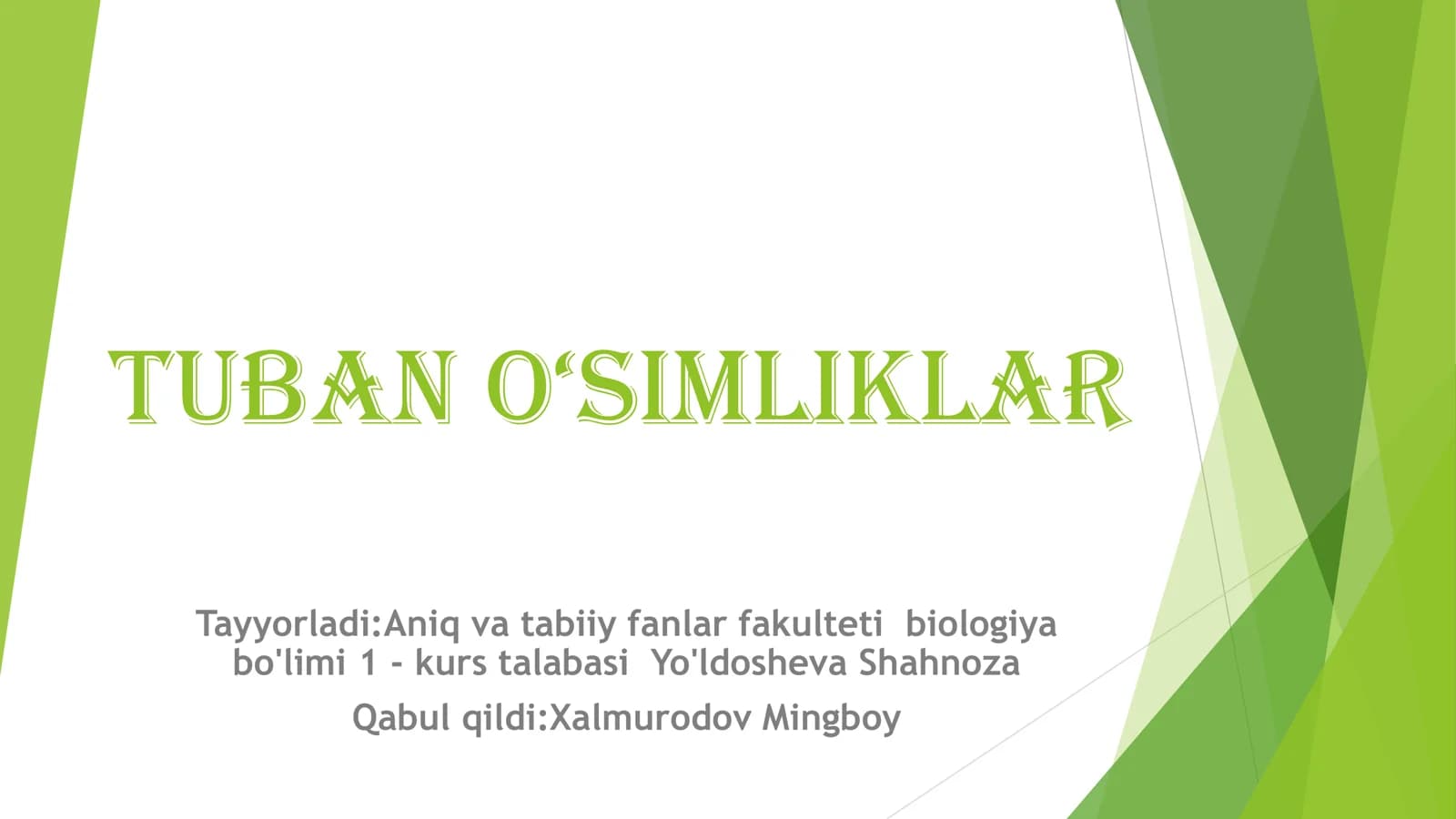 TUBAN O‘SIMLIKLAR