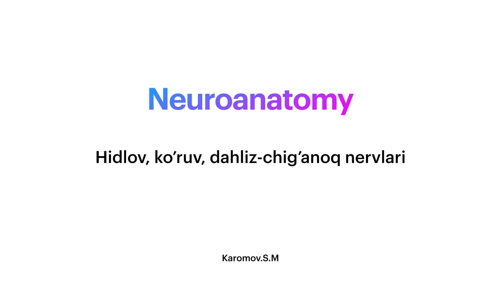 Neuroanatomy