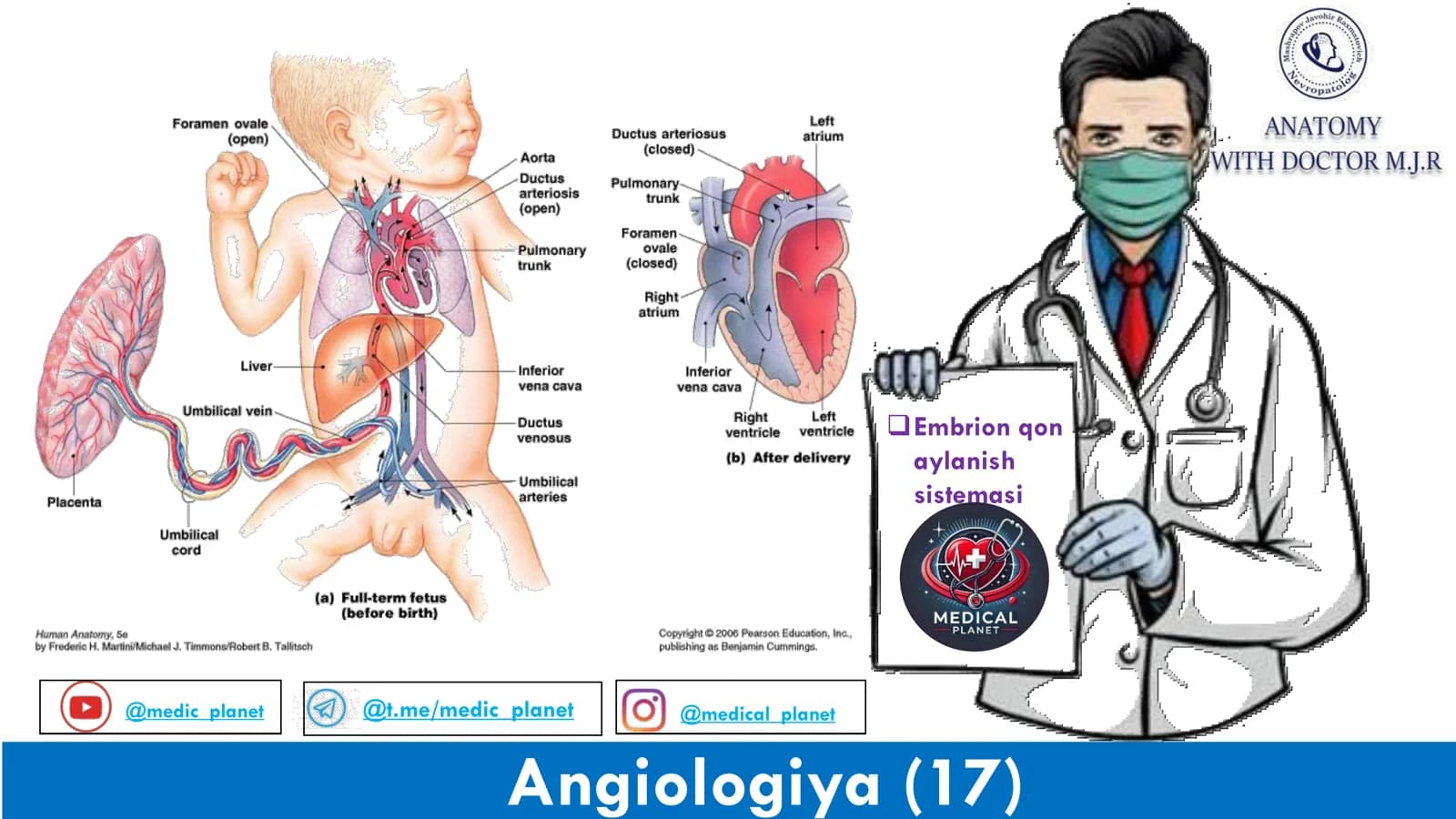 Angiologiya Final