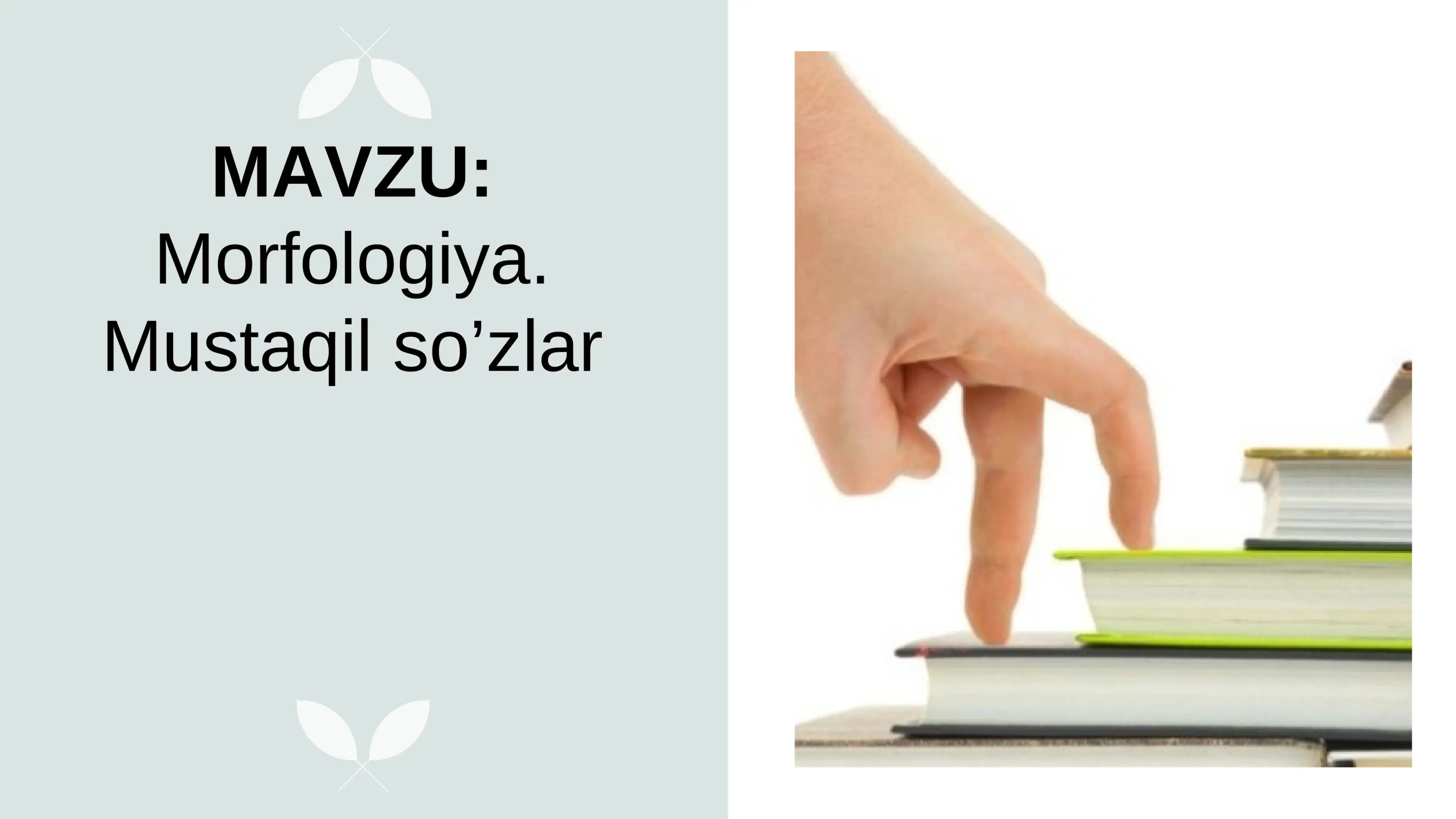 Morfologiya. Mustaqil so’zlar