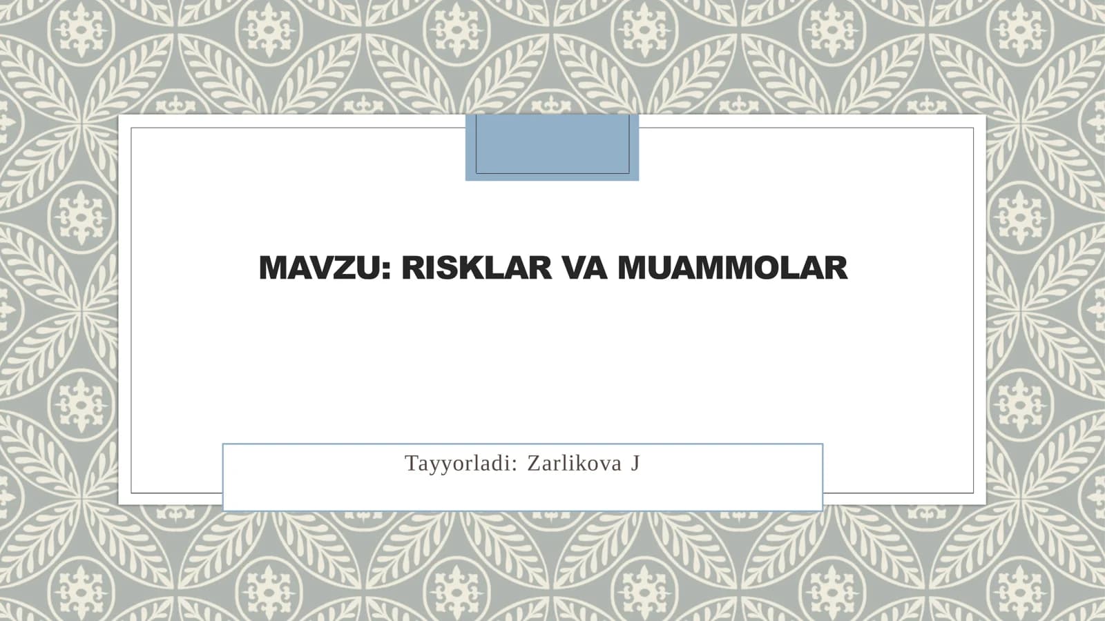 RISKLAR VA MUAMMOLAR. SLAYT 12 LIST