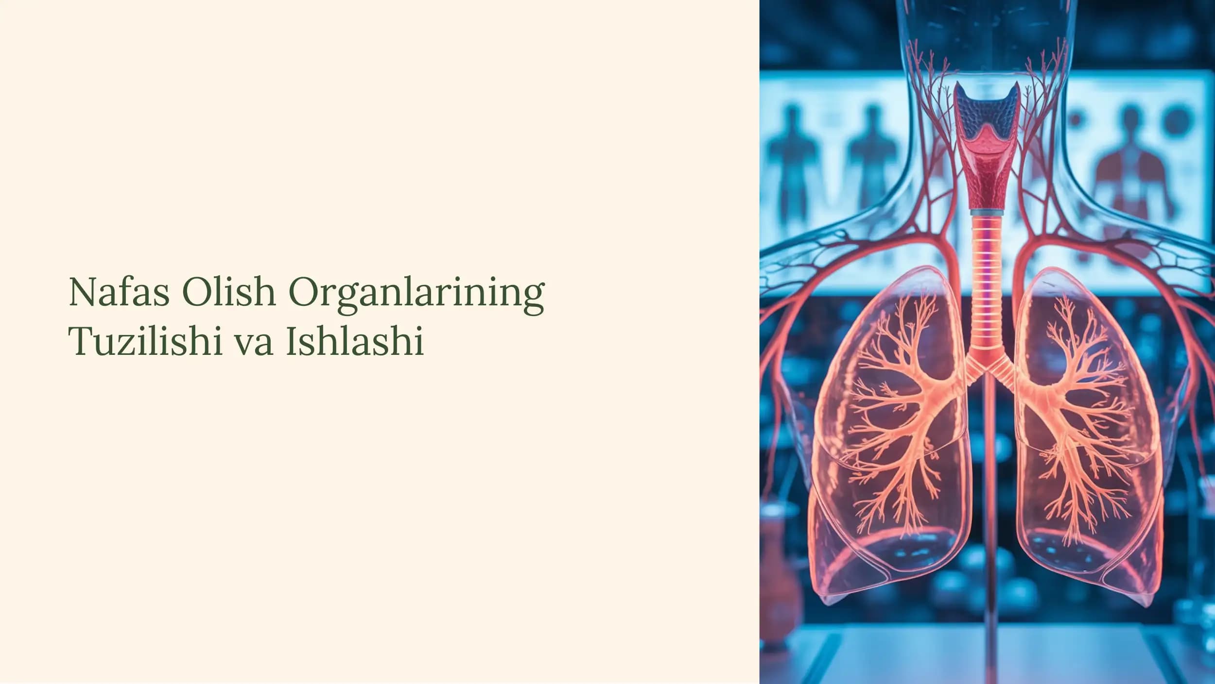 Nafas Olish Organlarining Tuzilishi va Ishlashi