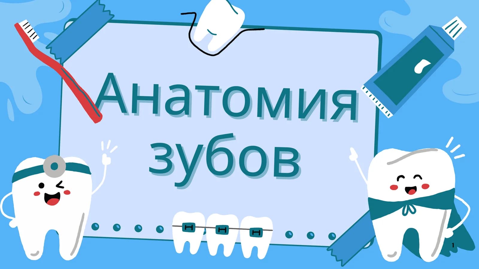 Анатомия зубов по эндодонтичемким критериям