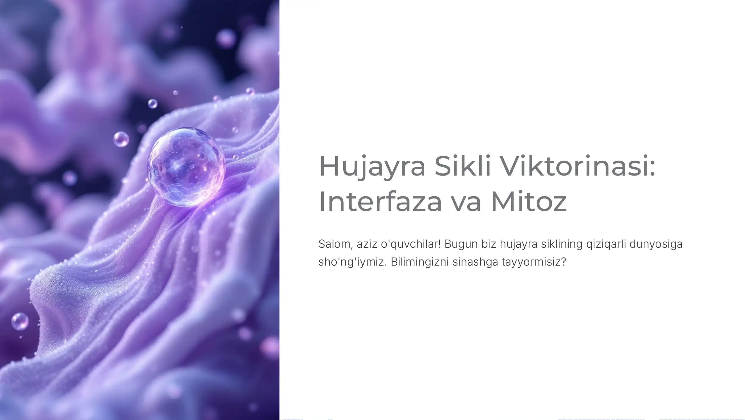 Hujayra Sikli Viktorinasi: Interfaza va Mitoz