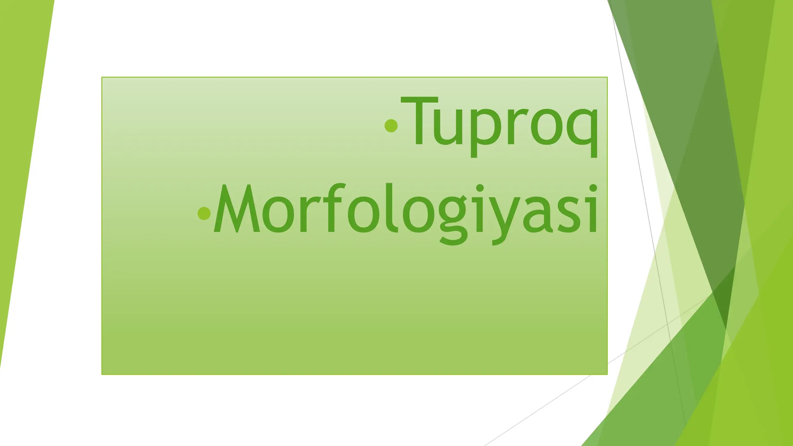 TUPROQ MORFOLOGIYASI