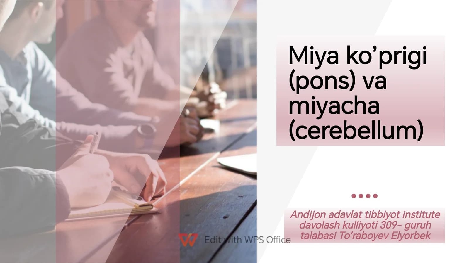 miyacha va miya koprigi anatomiyasi