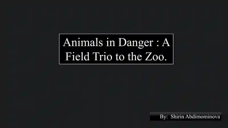 Animals in Danger: A Field Trip to the Zoo