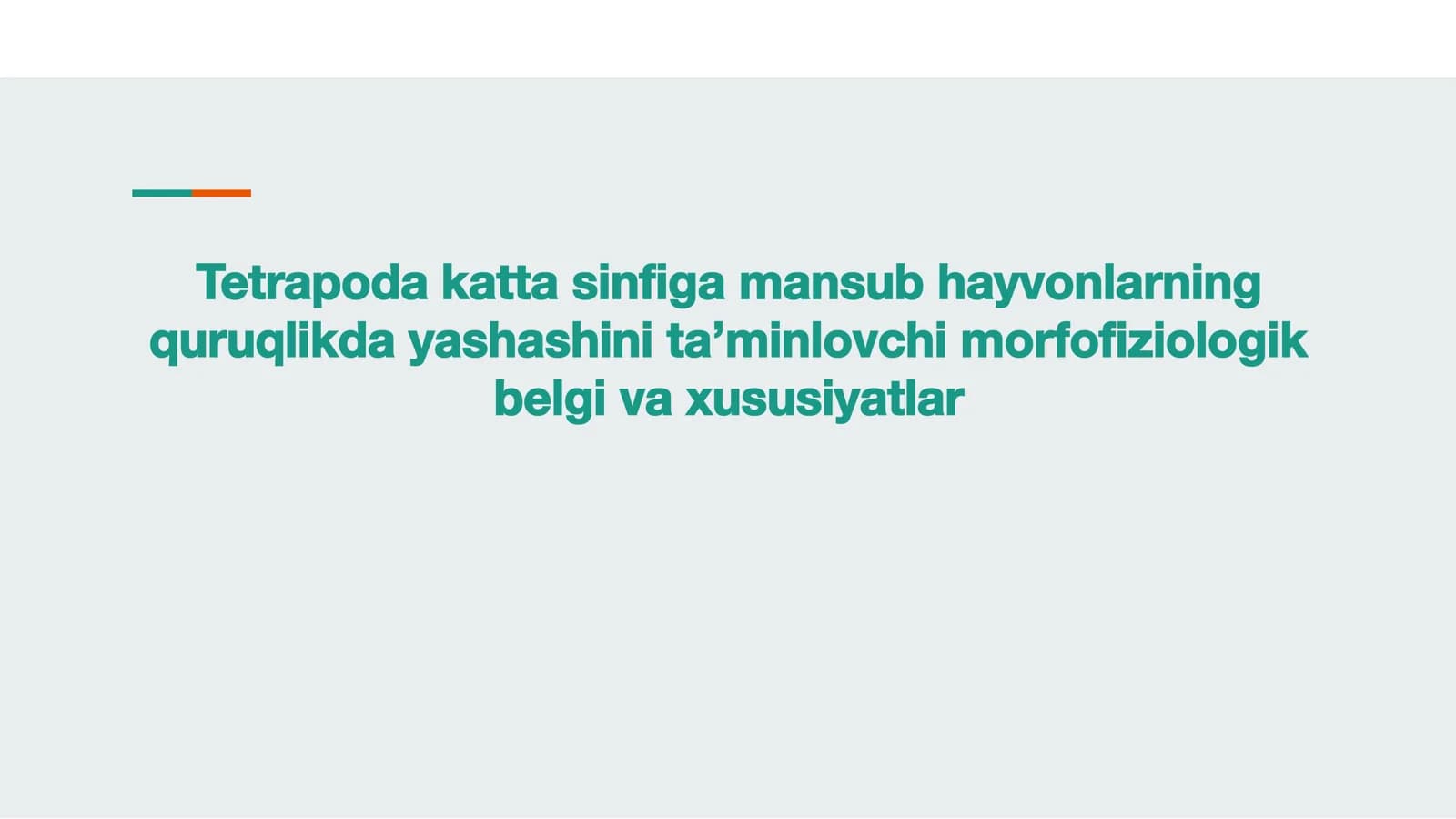 Tetrapoda katta sinﬁ