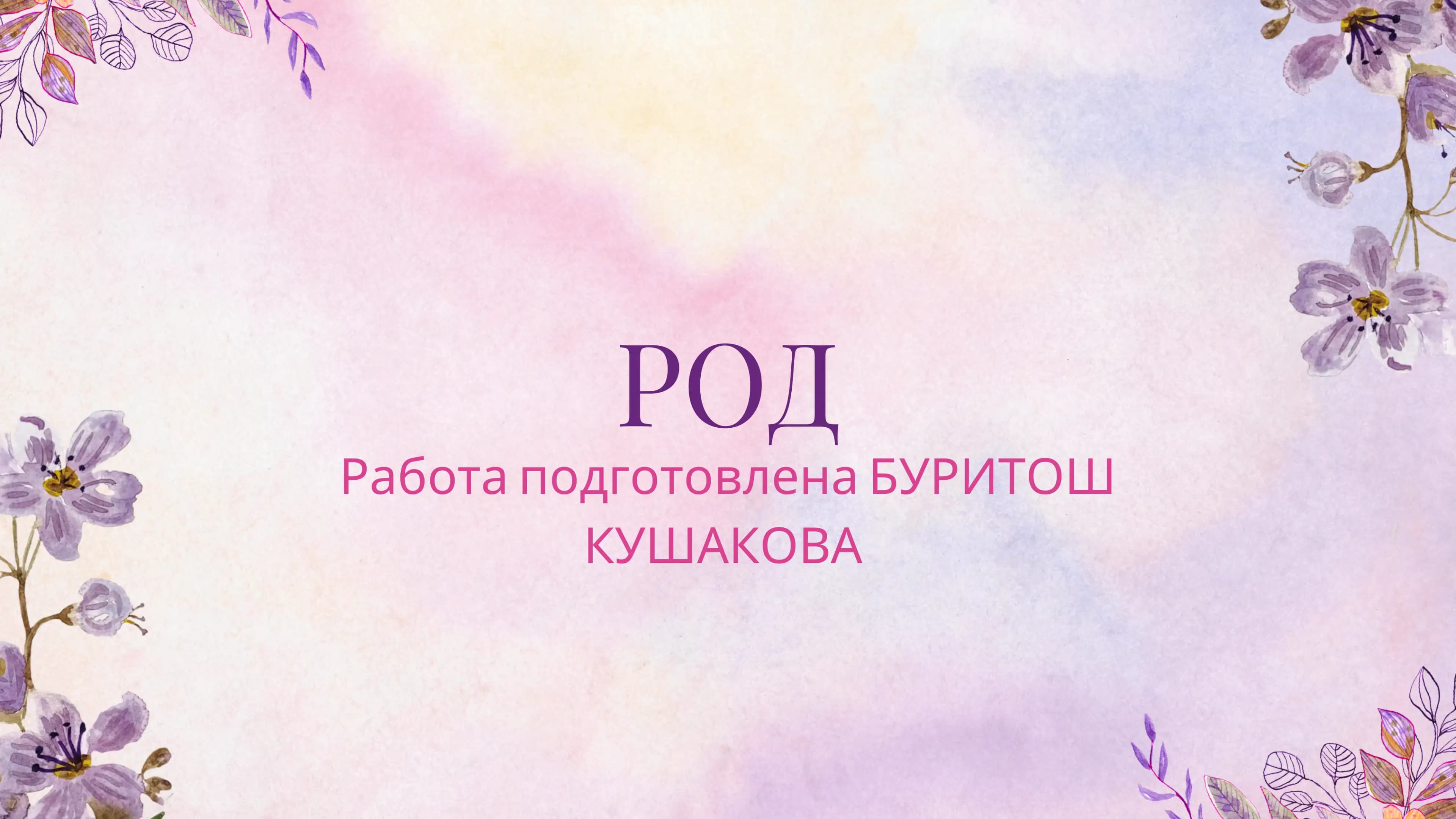 Род имён существительных