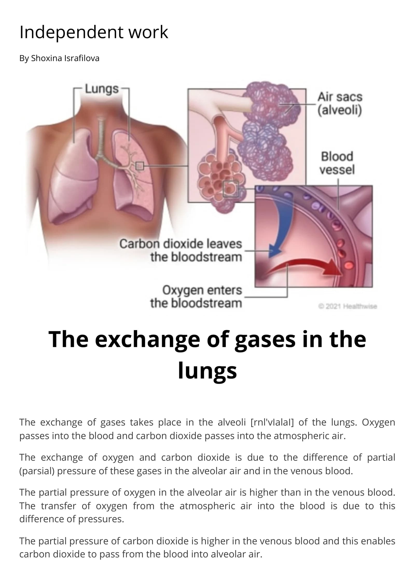 The exchange of gases
