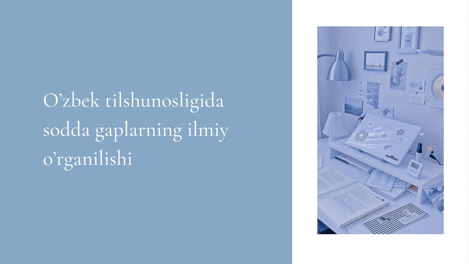 O'zbek tilshunosligida sodda gaplarning ilmiy o'rganilishi