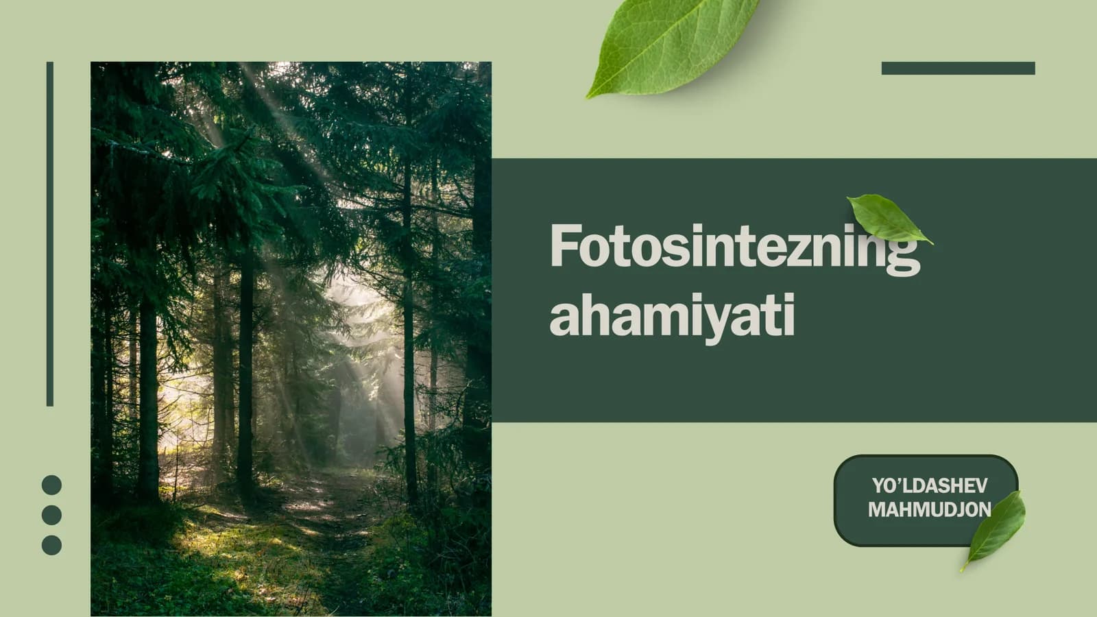 Fotosintezning ahamiyati