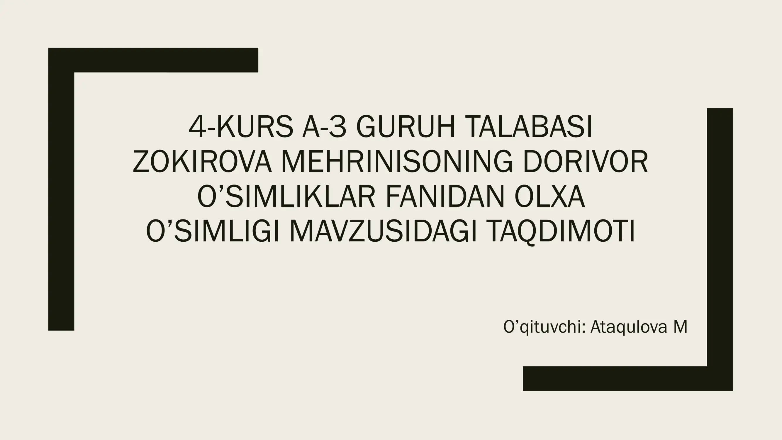 olxa o'simligi