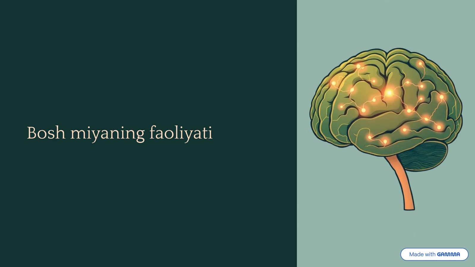 Bosh Miyaning Faoliyati