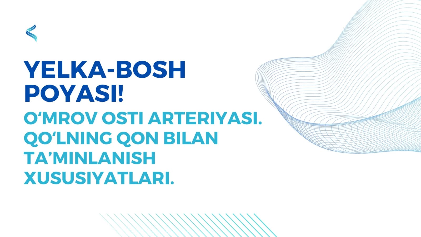 Yelka-bosh poyasi