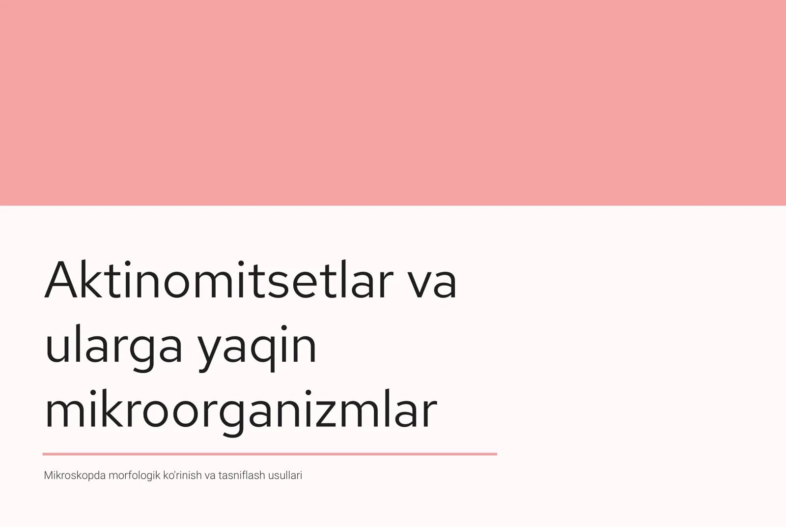 Aktinomitsetlar va ularga yaqin mikroorganizmlar