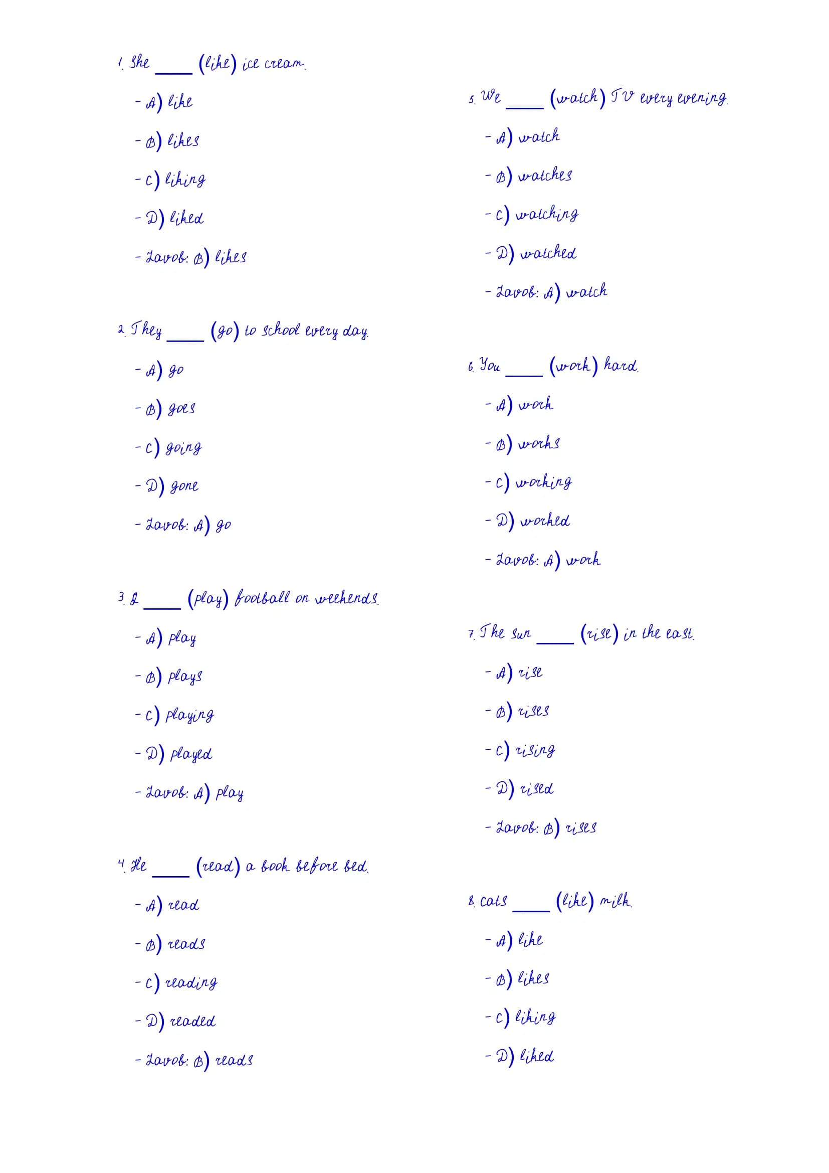 English Grammar Quiz