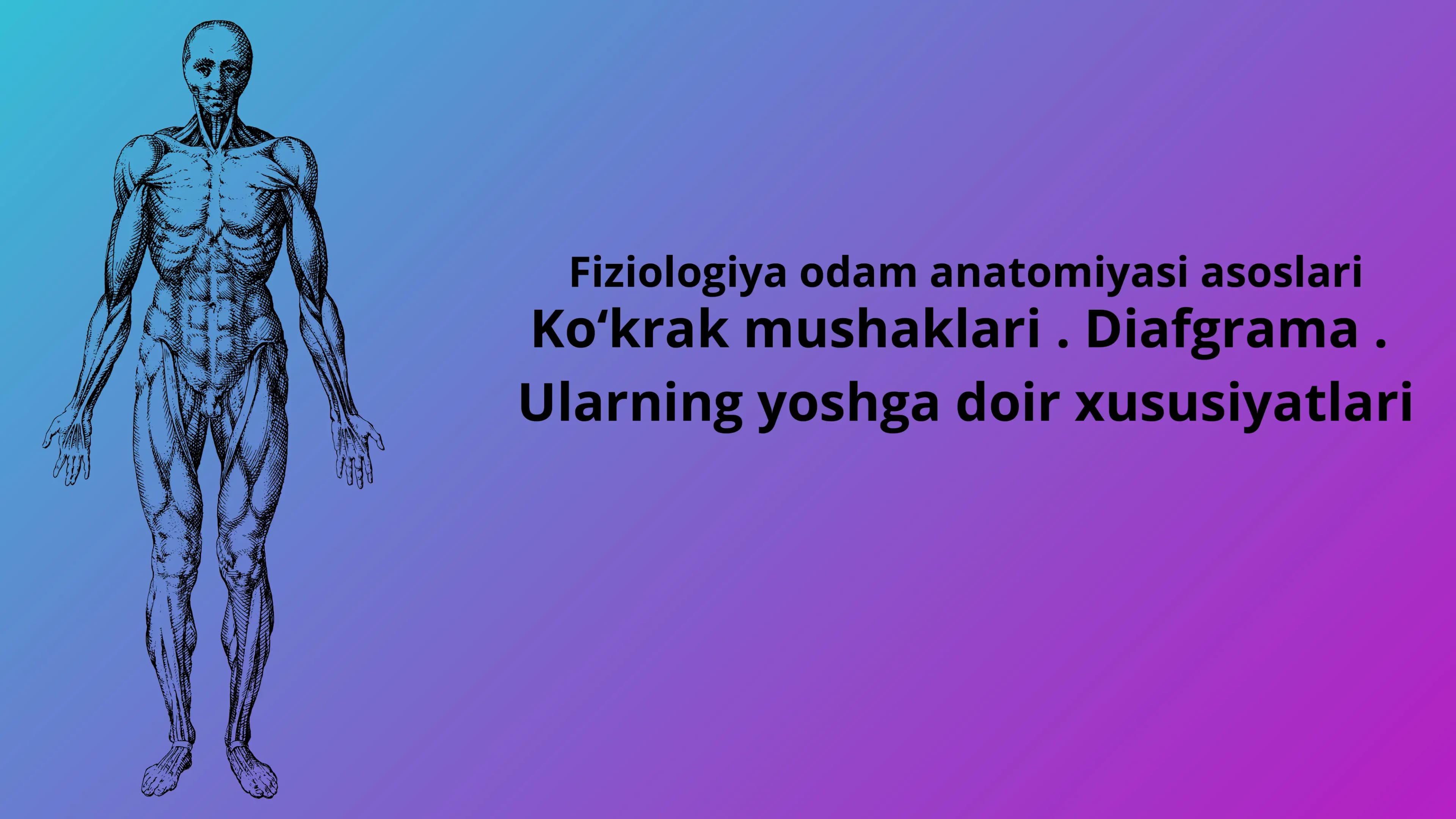 Koʻkrak mushaklari. Diafgrama. Ularning yoshga qarab oʻzgarishi