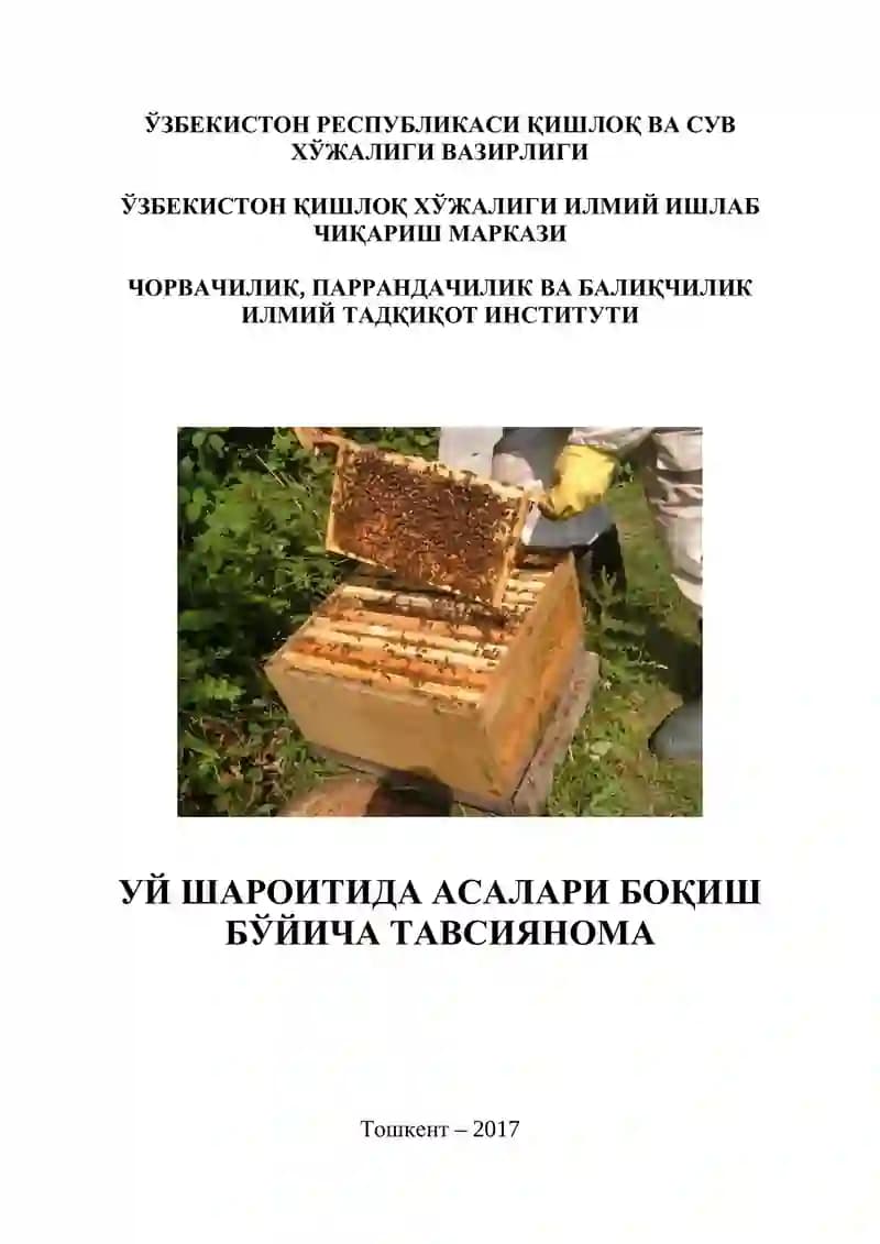 Uy sharoitida asalarichilik uchun tavsiyanoma