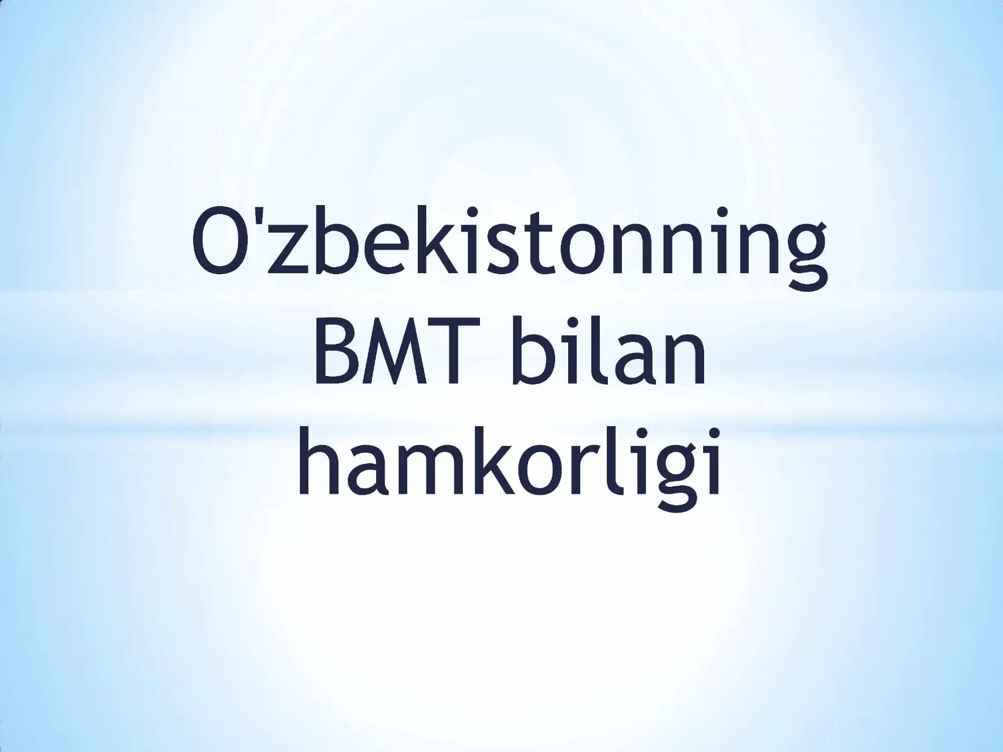 Birlashgan millatlar tashkiloti (BMT)
