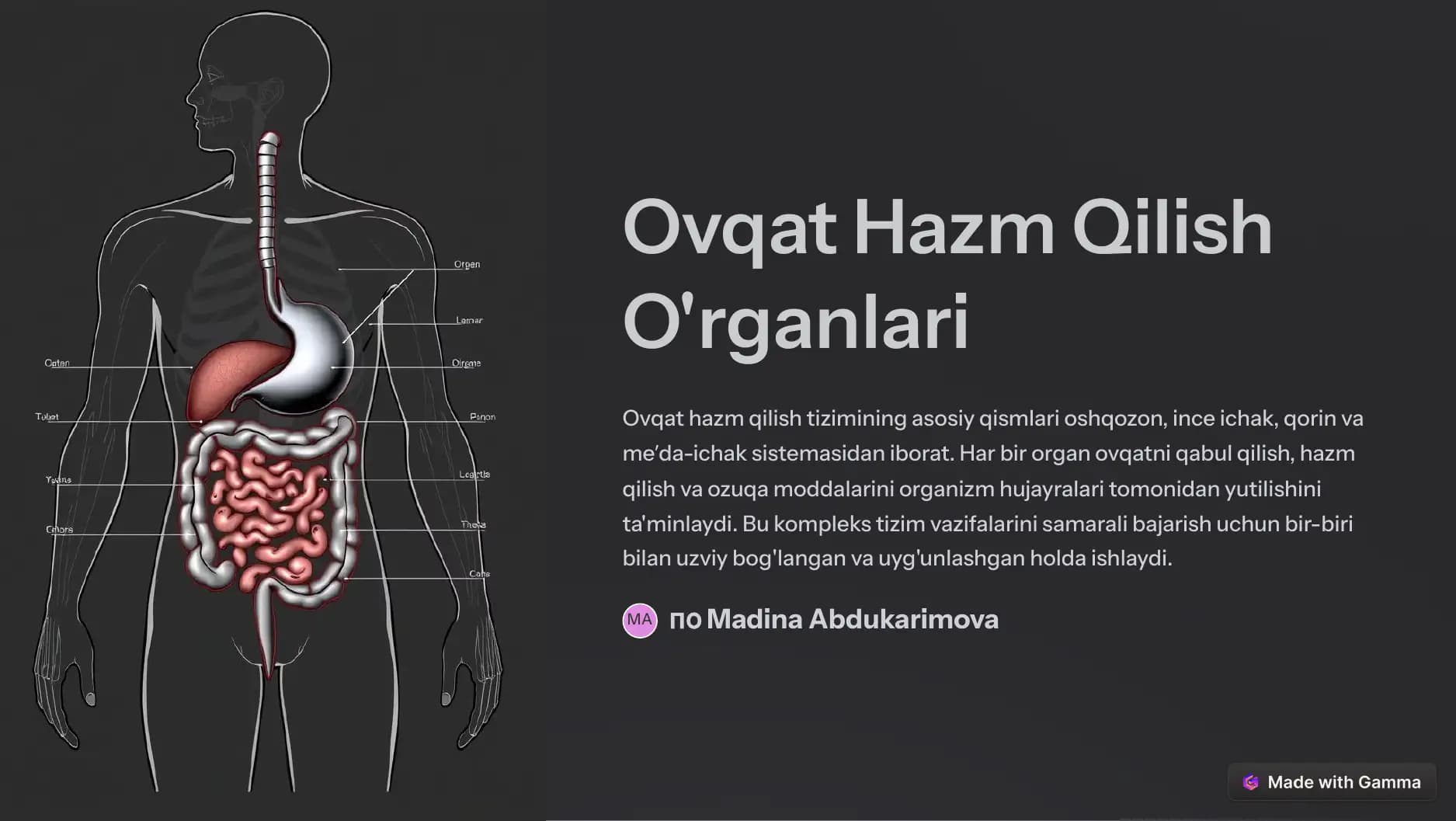 Ovqat Hazm Qilish