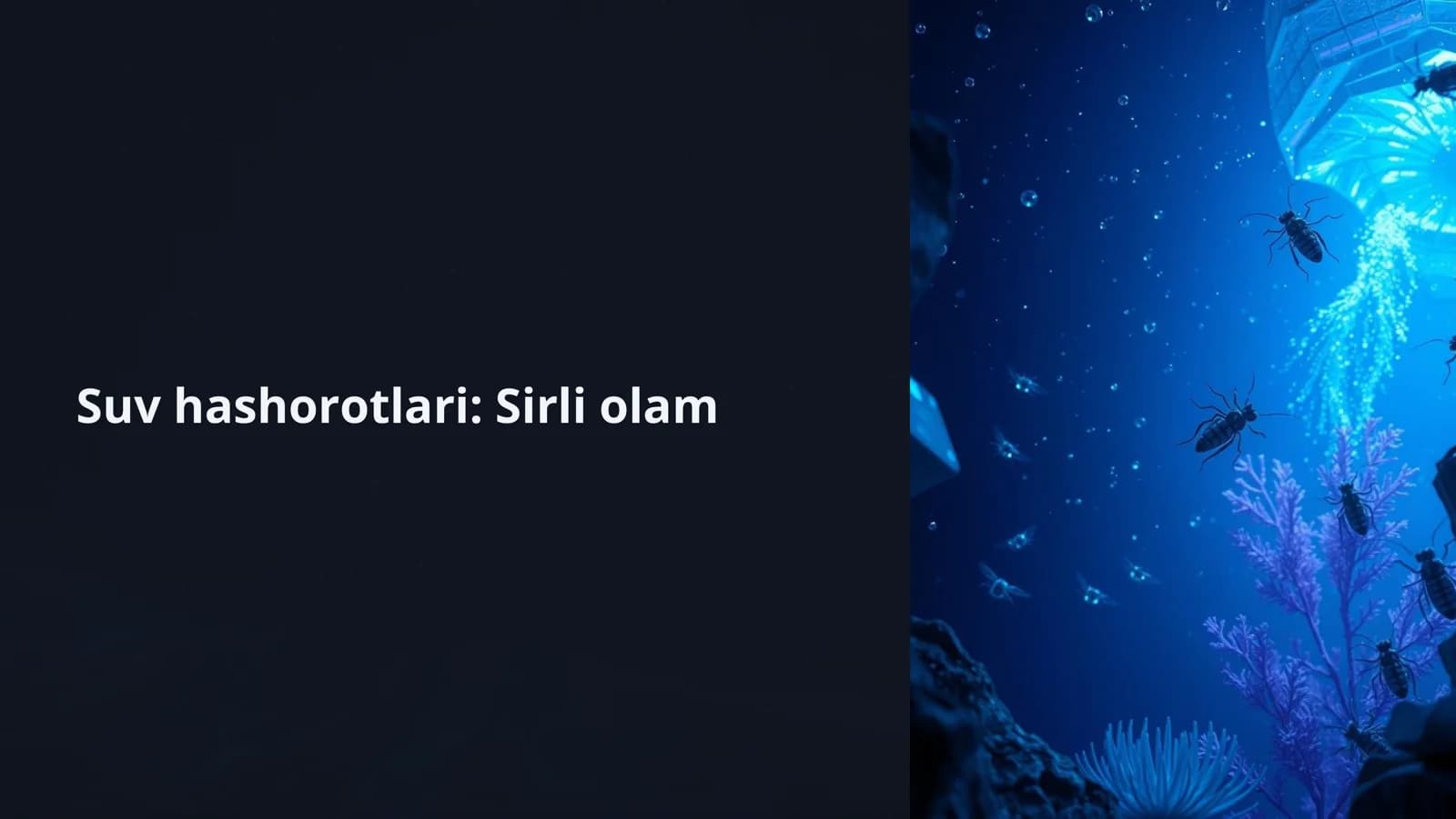 Suv hashorotlari: Sirli olam