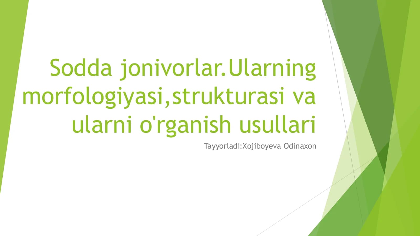 Sodda jonivorlar