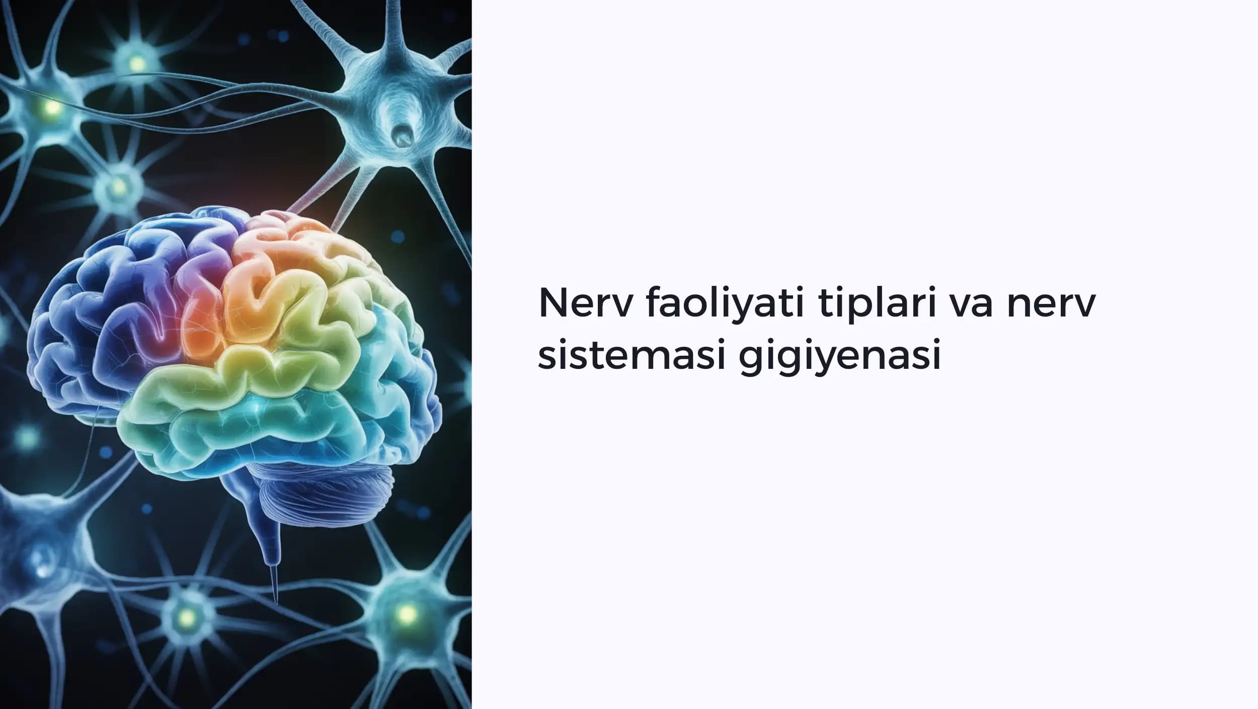 Nerv faoliyati tiplari va nerv sistemasi gigiyenasi