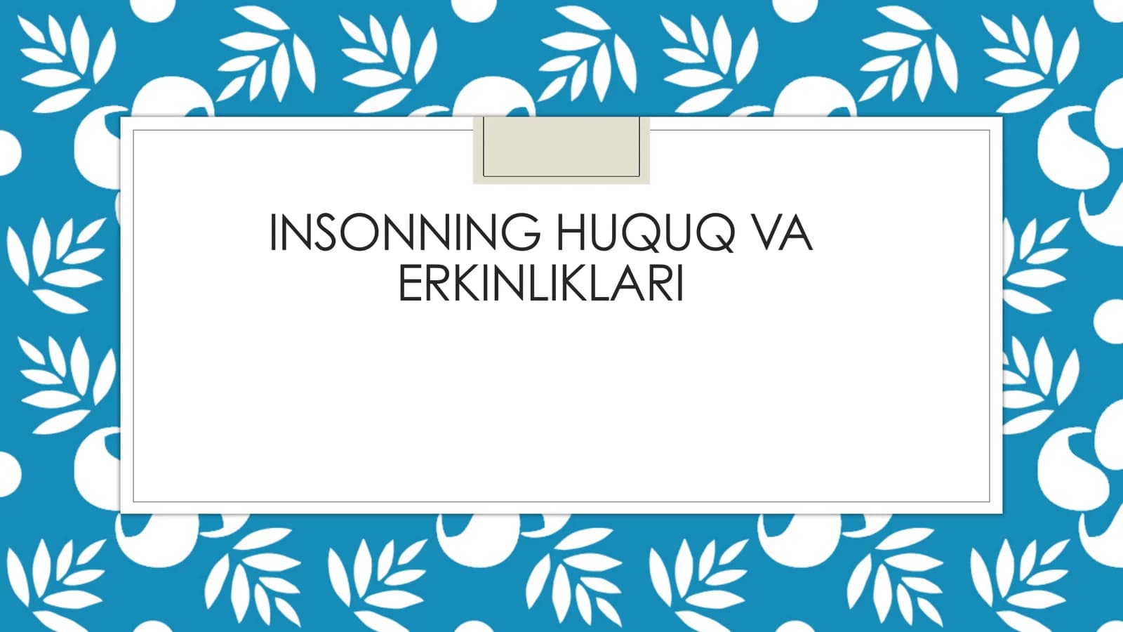 insonning huquq va erkinliklari